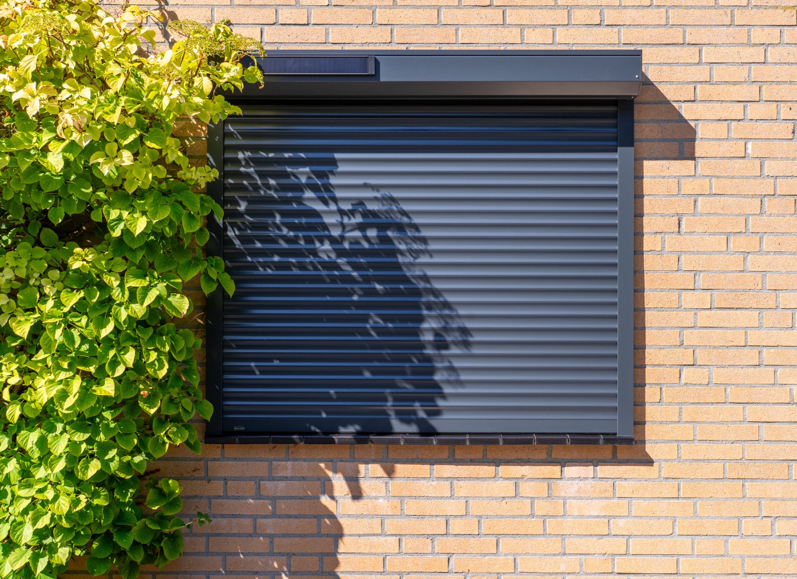 Rolluik V010 - Space Solar