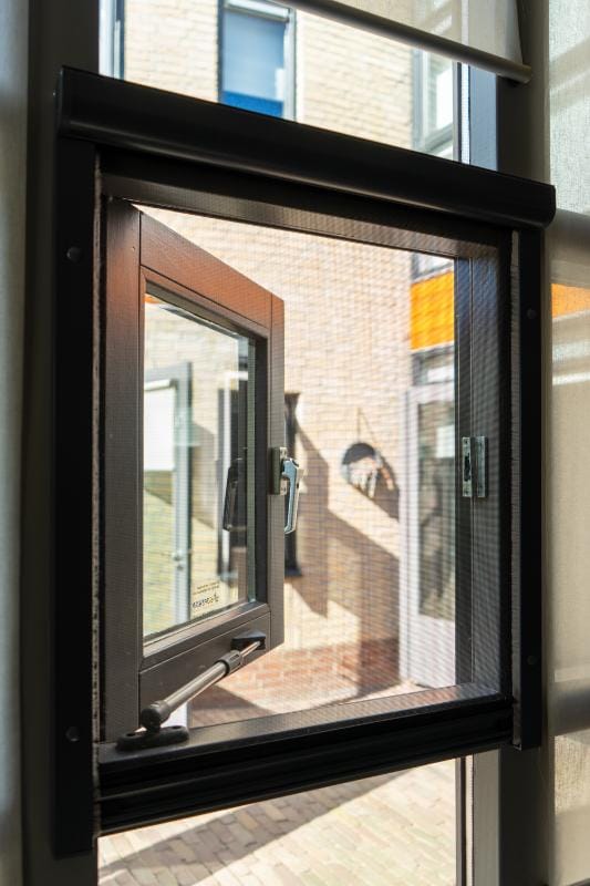 verano sfeerafbeelding raamhor 001 1